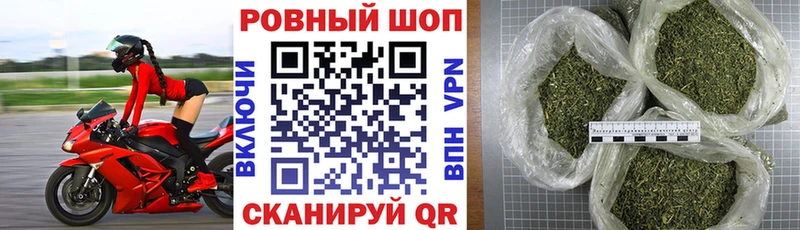 Купить закладку Галлюциногенные грибы  Меф мяу мяу  Кокаин  Кетамин  СОЛЬ  Петушки
